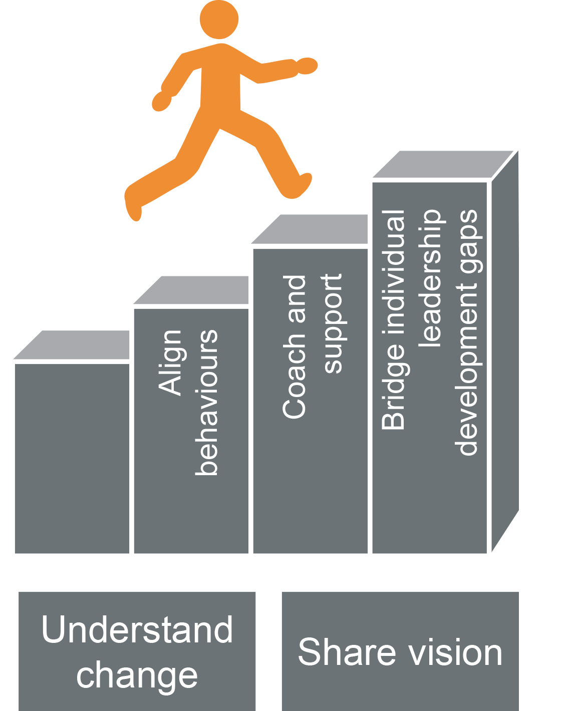 A level graph that describes how the company understands change that is needed
                	and how the will share the vision of their clients.